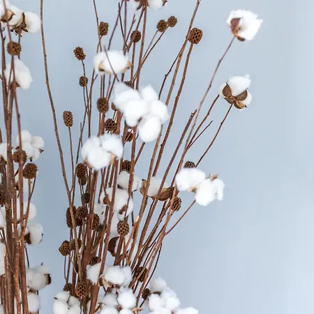 شقة Le Clair & Spacieux - Parking - 15 Min Paris